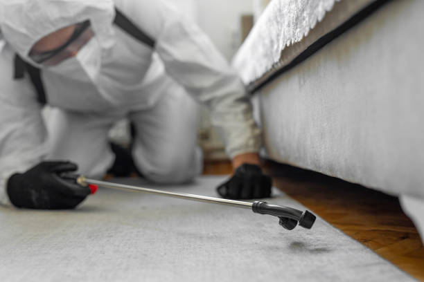 Professional Termite Control technician working in Derby, KS