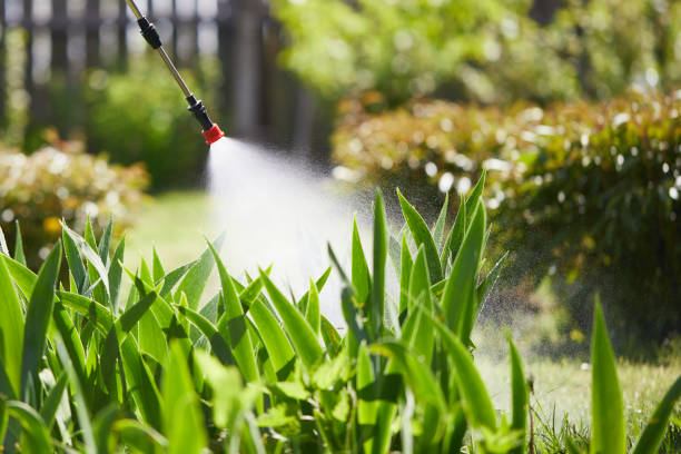 24/7 Emergency Termite Control experts in Derby, KS