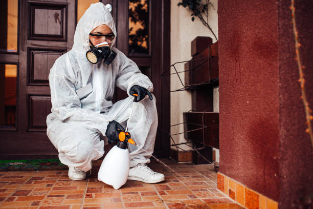 Reliable Termite Control contractor in Derby, KS by Nex Pest Control