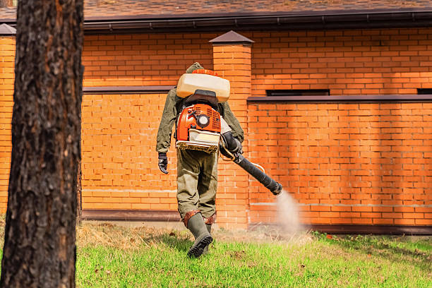 Top rated local Termite Control specialists in Derby, KS